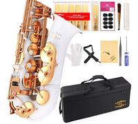 Glory Alto Saxophone Maintenance Kit in E Flat White Lacquer with 11 Reeds, 8 Pads, Case, Maintenance Kit