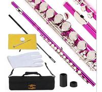 Glory Closed Hole C Flute With Case, Tuning Rod and Cloth,Joint Grease and Gloves pink