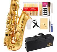 Glory Gold E Flat Alto Saxophone with 11reeds,8 Pads cushions,case,carekit -More Colors with Silver or Gold keys