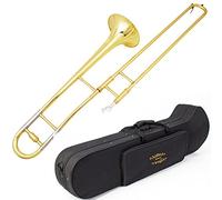 Glory GTD-2 B Flat Brass Trombone with Case & 12C Mouthpiece,Gold Finished,Alto Trombone