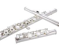 Glory HAND-ENGRAVED SILVER PLATED HIGH GRADE FLUTE 17 Hole OPEN/CLOSED C Flute With Case, Tuning Rod and Cloth and Gloves,HIGH GRADE HAND ENGRAVED