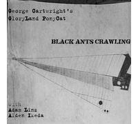 Gloryland Ponycat - Black Ants Crawling