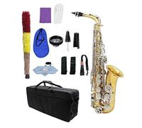 Glossy Brass Eb Saxophone E-Flat Engraved Body Saxophone Wind Instrument With Case Gloves Saxophone for Student