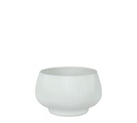 Glossy Hortus Belgrade Bowl 24X18Cm - White Pot