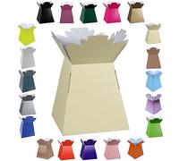 Glossy Vibrant Bouquet, Flower Box/Vase - Transportation Display, Presentation Boxes (2, Ivory)