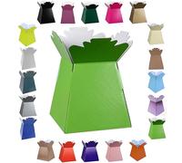 Glossy Vibrant Bouquet, Flower Box/Vase - Transportation Display, Presentation Boxes (2, Lime Green)