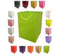Glossy Vibrant Flower Gift Bag, Bouquet Vase | Valentines | Anniversary | Love | Transportation Display (10, Lime Green)