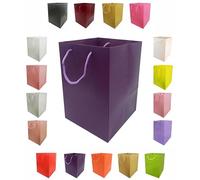 Glossy Vibrant Flower Gift Bag, Bouquet Vase | Valentines | Anniversary | Love | Transportation Display (2, Purple)