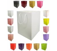 Glossy Vibrant Flower Gift Bag, Bouquet Vase | Valentines | Anniversary | Love | Transportation Display (5, White)