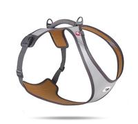 Glow Belka Harness Gray XL