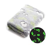 Glow in The Dark Blanket 152 x 127cm Flannel Fleece Cosy Bedroom Accessories Super Soft Warm Material Bed Throw Fluffy for Kids Boys Girls Toddlers Great Gifts (Dinosaur)
