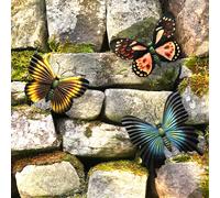 Glow In The Dark Butterfly (set of 3)