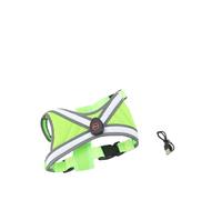 Glow in the Dark Dog Vest, Adjustable Harness (M) | Comfortable mesh fabric, USB charging, nighttime visibility