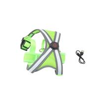 Glow in the Dark Dog Vest, Adjustable Harness (S) | Comfortable mesh fabric, USB charging, nighttime visibility