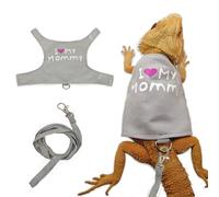 Glow in the Dark Lizard Harness and Leash, Adjustable Bearded Dragon Chest Harness, Night Safety Reptile Walking Vest for Chameleon Squirrel Small Pet, Canvas Outdoor Travel Leash (Gray)