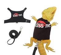 Glow in the Dark Lizard Harness and Leash, Adjustable Bearded Dragon Chest Harness, Night Safety Reptile Walking Vest for Chameleon Squirrel Small Pet, Canvas Outdoor Travel Leash (Black)