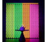 Glow in The Dark Party Supplies,Disco Party Decorations,2Pack Neon Disco Ball Tinsel Foil Fringe Curtains Photo Backdrop Photo Booth Props For The 70s 80s theme Last Disco Bachelorette, Birthday Decor