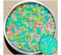 Glow in The Dark Rocks for Outdoor Garden Pathway Aquarium (2000Pcs)