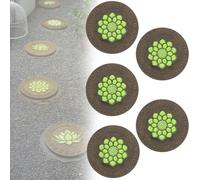 Glow in The Dark Round Stepping Stone Set, Outdoor Luminous Lotus Stepping Stone Path Pavers, Decorative Stone with Lotus Pattern for Walkways, Lawn, Patio, Path(A,5pcs)