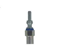 Glow Plug BORGWARNER (BERU) GN1016 RENAULT KOLEOS I (HY_) 2 2008-2013