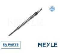 Glow Plug for AUDI A3 A3 Sportback A4 / S4 B7 MEYLE 100 860 0003