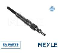 Glow Plug for RENAULT CLIO MEYLE 100 020 2022