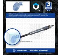 Blue Print Glow Plug - ADG01843