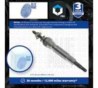 Glow Plugs Set 4x fits KIA K2500 SD 2.5D 2003 on D4BH Blue Print 3671042500 New