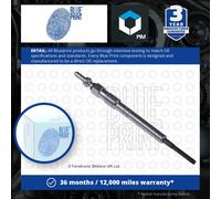 Glow Plugs Set 4x fits VAUXHALL CORSA D 1.3D 2006 on Blue Print 055564219 New