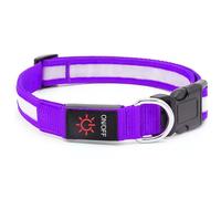 Glowguard Dog Collar, Light Up og Collar, Multicolor Led og ollar, Usb-C Rechargeable Reflective Glow ollar, For Night Walking (Purple,XL)