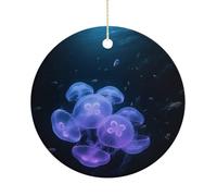 Glowing Jellyfish Double-Sided Ceramic Christmas Ornaments - Round Hanging Mini Xmas Tree Decorations, Ideas for Farmers, Rustic Home Decor for Indoor Outdoor Tree Decor
