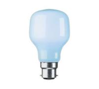 GLS 240V 60W B22d BLUEBELL