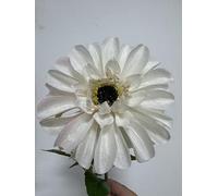 GLSATEMAN 6 Pack Artificial Zinnia Flowers,Creamy White-Light Pink Mix,62cm Long,Large Bloom with Bud,Bendable DIY Silk Flowers for Home Decor (Creamy White)