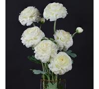 GLSATEMAN Artificial Ranunculus Long Stem Buttercup Silk Flowers 6pcs for Home Decor and Wedding Decorations(White 1)