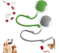 GLSAYZU Interactive Cat & Dog Toys, Smart Automatic 360°Rolling Ball Toy for Indoor Large & Small Pets (2pc-C)