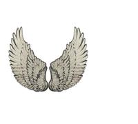 GLSTOY 1 Pair Golden Wing Sequin Embroidery Cloth Paste Patches for Clothes DIY Sewing Accessories Cover Broken Holes Or Scars with Beautiful Outlook and Charming Patterns