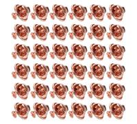 GLSTOY 100 Sets Butterfly Clutch Pin Backs Copper Metal Pin Fasteners Keeper with Flat Head Needle for Badge Brooch Tie Tack Replacement Craft Use