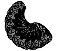 GLSTOY 10pcs Self-adhesive Acoustic Guitar Pickguard Material Folk Guitar Accessories Scratch Protection