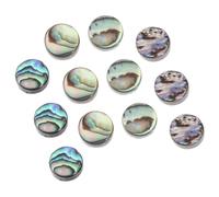 GLSTOY 12pcs Abalone Paua Shell Fretboard Inlay Dots 6mm for Guitar Ukulele Banjo Mandolin with Precise Finger Placement and Lasting Beauty Assorted Colour Musical Instrument Accessories