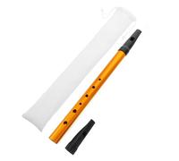 GLSTOY Beginner Irish Whistle Flute Recorder d Key Boys and Girls Music Instrument Aluminum Construction Learning Tin Whistle
