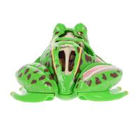 GLSTOY Educational Frog Anatomy Model for Reusable Dissection Kit for Biology Class Teachers Interactive Learning Tool for Frog Anatomy Study