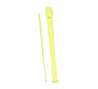 GLSTOY Interactive Recorder Toy for Boys and Girls Soprano Recorder Educational Music Instrument Safe
