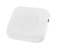 GLSTOY Portable Microphone Amplifier Voice Amplifier for Teachers Rechargeable Mini Microphone Speaker System for Classroom Presentation Party
