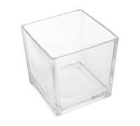 GLSTOY Thickened Square Glass Flower Vase 15x15cm Cube Hydroponic Planter for Desktop Home Décor
