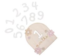 GLSTOY Wooden Monthly Discs Newborn Shower Decorations Monthly Markers for Photos