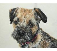 GLTEYACO Embroidery Cross Stitch Kit Border Terrier 11CT Stamped Cross Stitch Kits DIY Adult Beginners for Pre-Printed Needlepoint Crafts 40x50 cm