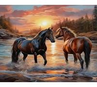 GLTEYACO Pre-Printed Cross Stitch Kits Animal Horses 11CT Stamped Embroidery Kit for Adults Beginners DIY Embroidery Pattern Art Craft Decor 40x50 cm