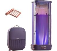 GLWJXSD Home Portable Dryer, 800W Fully Automatic Clothes Dryer with Built-In Towel Rack, Household Clothes And Fabric Ironing Machine