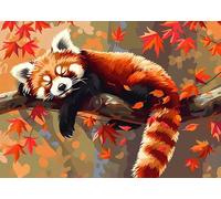 GLXPOG Raccoon Diamond Art Kits for Adults, DIY 5D Diamond Painting Animal, Full Round Drill Gem Crystal Art Paint by Diamond Kits Perfect for Relaxation and Home Wall Decor 30x40cm