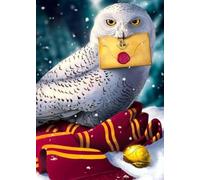 GLXPOG White Owl Diamond Painting Kits for Adults, Owl 5D DIY Diamond Art Kits for Beginners Round Full Drill Painting with Diamonds Art Crafts for Home Wall Decor Gift 12x16 in / 30x40cm